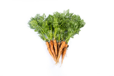 Similar image 10910997