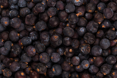 Similar image 10915722