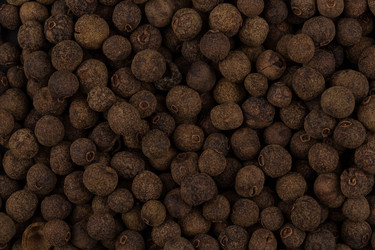 Similar image 10915775