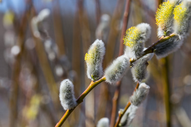 Similar image 10915868