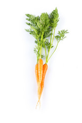 Similar image 10916043