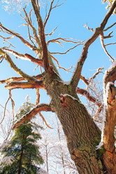 Similar image 10906016