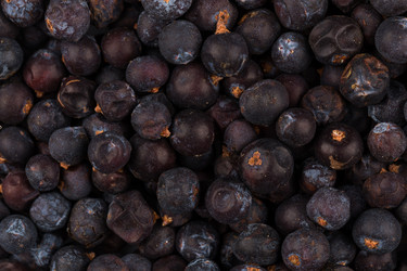 Similar image 10917041