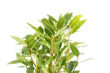 Similar image 10910892