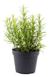 Similar image 10910910