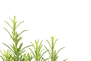 Similar image 10911019