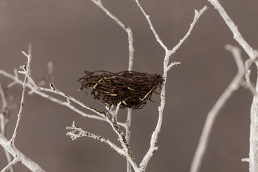 Similar image 10915875