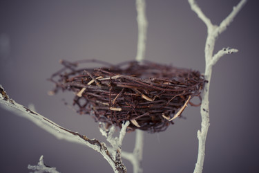 Similar image 10915990