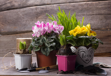 Similar image 10906858