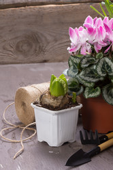 Similar image 10906859