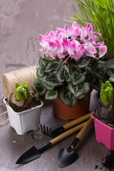 Similar image 10906860