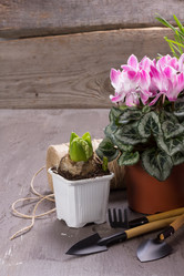 Similar image 10906861