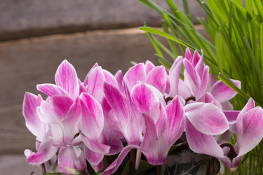 Similar image 10906864