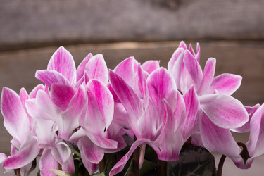 Similar image 10906867