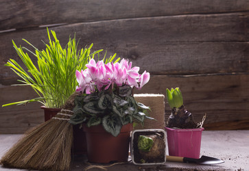 Similar image 10906872