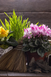 Similar image 10906873