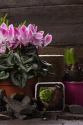 Similar image 10906875