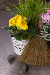 Similar image 10906889