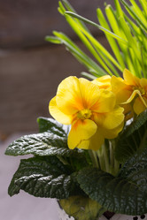 Similar image 10906891