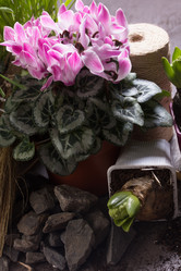 Similar image 10906892