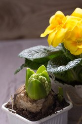 Similar image 10906893