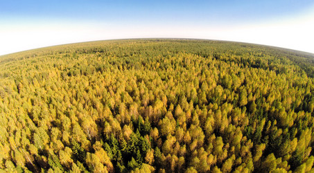 Similar image 10906429