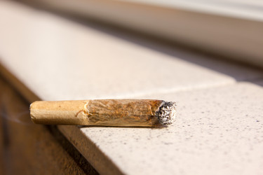 Similar image 10906205