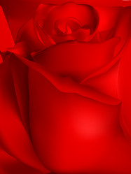 Similar image 10908143