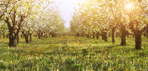 Similar image 10911164