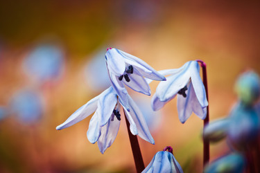 Similar image 10906051