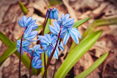 Similar image 10906052