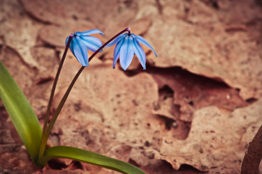 Similar image 10906054