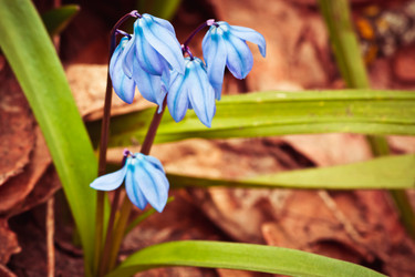 Similar image 10906055