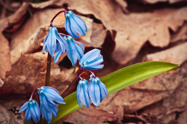 Similar image 10906056