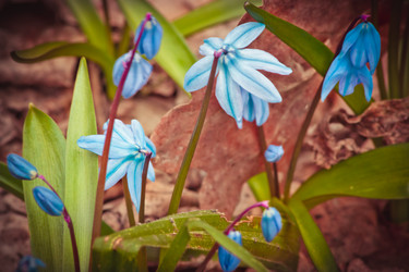 Similar image 10906057