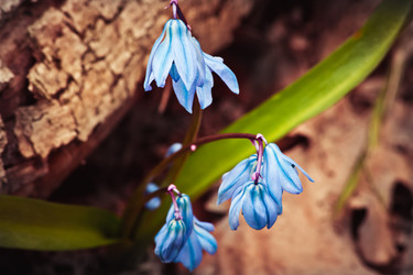 Similar image 10906058