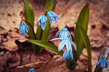 Similar image 10906059