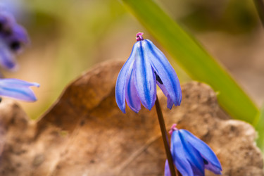 Similar image 10906062