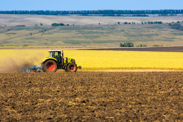 Similar image 10906044