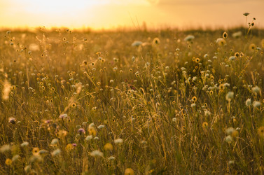 Similar image 10906063