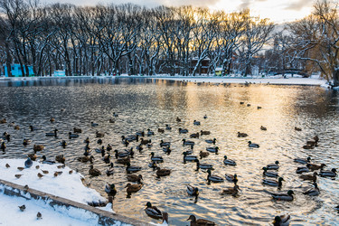 Similar image 10906046