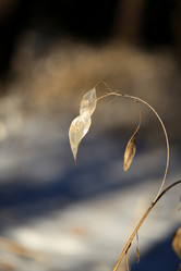 Similar image 10906667