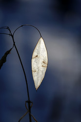 Similar image 10906672