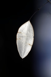 Similar image 10906673