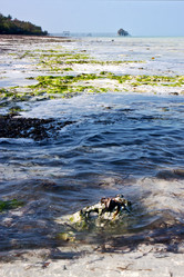 Similar image 10909170