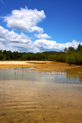 Similar image 10909173