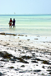 Similar image 10909179