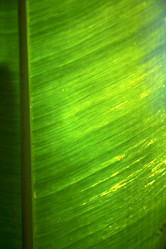 Similar image 10909192