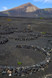 Similar image 10909209