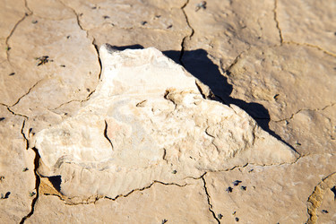 Similar image 10909232